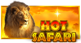 Hot Safari