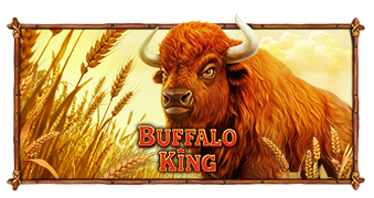 Buffalo King
